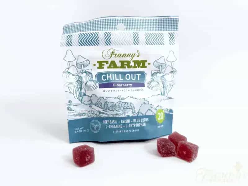 Franny's Chill Out Elderberry Multi-Mushroom Gummies