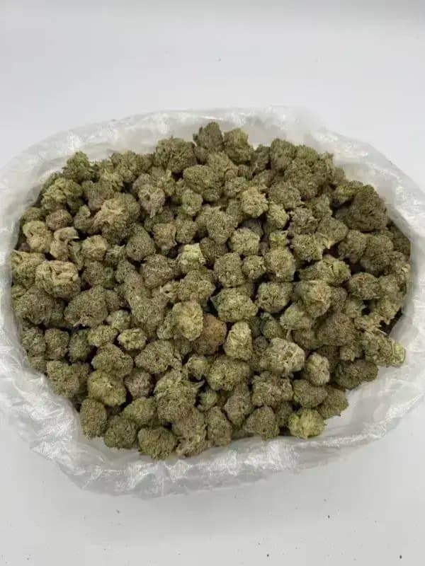 Ice Cream Cake THCa Flower  Híbrido de Dominancia Indica (28.04%) imagen 3