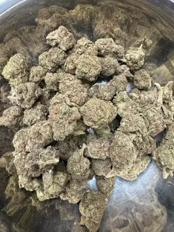 Purple Slime THCa Flower – Indica Premium (31.18%) imagen 4