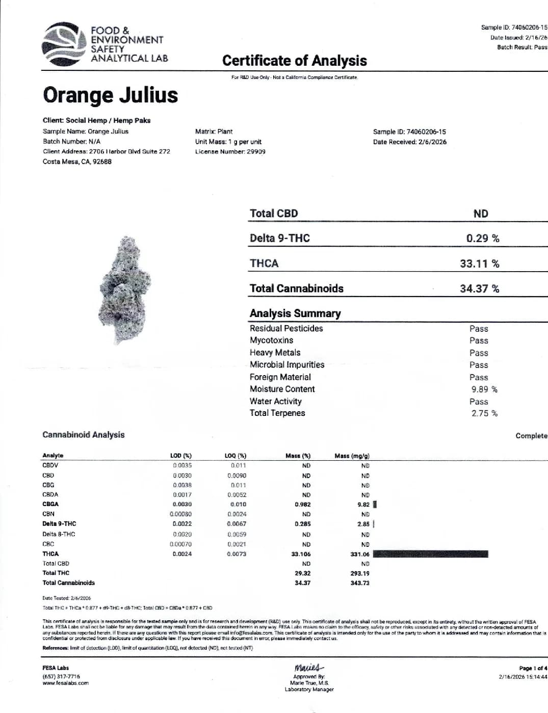 Orange Julius THCa Flower – Sativa Premium (33.1%) imagen 5