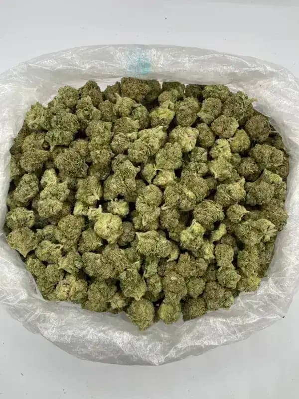 Sour Diesel THCa Flower – Sativa clásica (31.44%) imagen 3