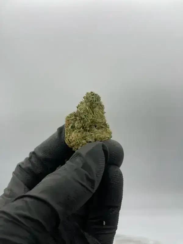 Sour Diesel THCa Flower – Sativa clásica (31.44%) imagen 2
