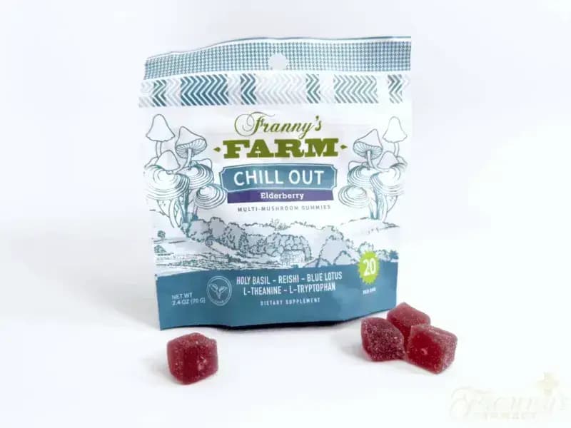Franny's Chill Out Elderberry Multi-Mushroom Gummies imagen 3
