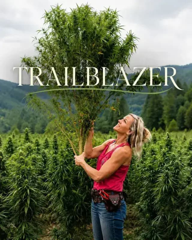 Part Two: Part Two: Building North Carolina's First Legal Hemp Industry