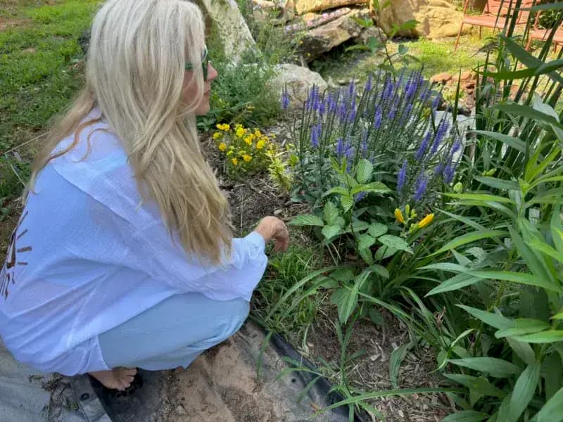 Honoring World Mental Health Day with Wellness from Franny’s Farmacy