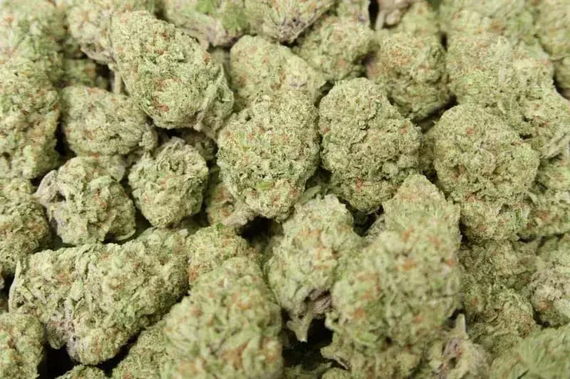 Orange Creamsicle (Sativa 26.7%)