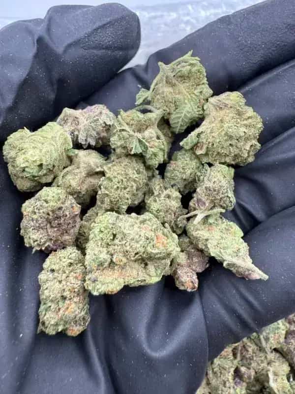 24 Karat THCa Flower – Indica Premium (30.05%)