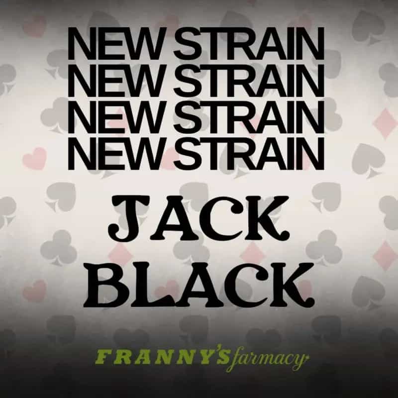 Jack Black THCa Flower – Indica Premium (30.47%)
