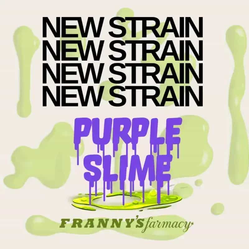 Purple Slime THCa Flower – Indica Premium (31.18%)