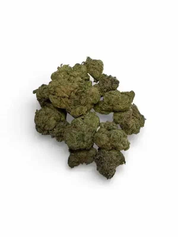 Pink Champagne THCa Flower – Híbrido de Dominancia Indica (32.13%)