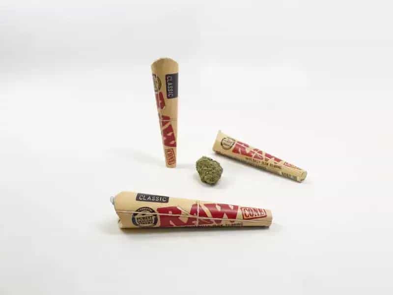 RAW Cone 6- pack