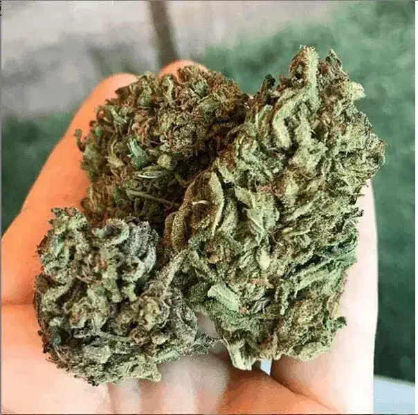 Smokeable Hemp