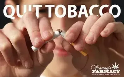 The Use Of CBD For Quitting Tobacco