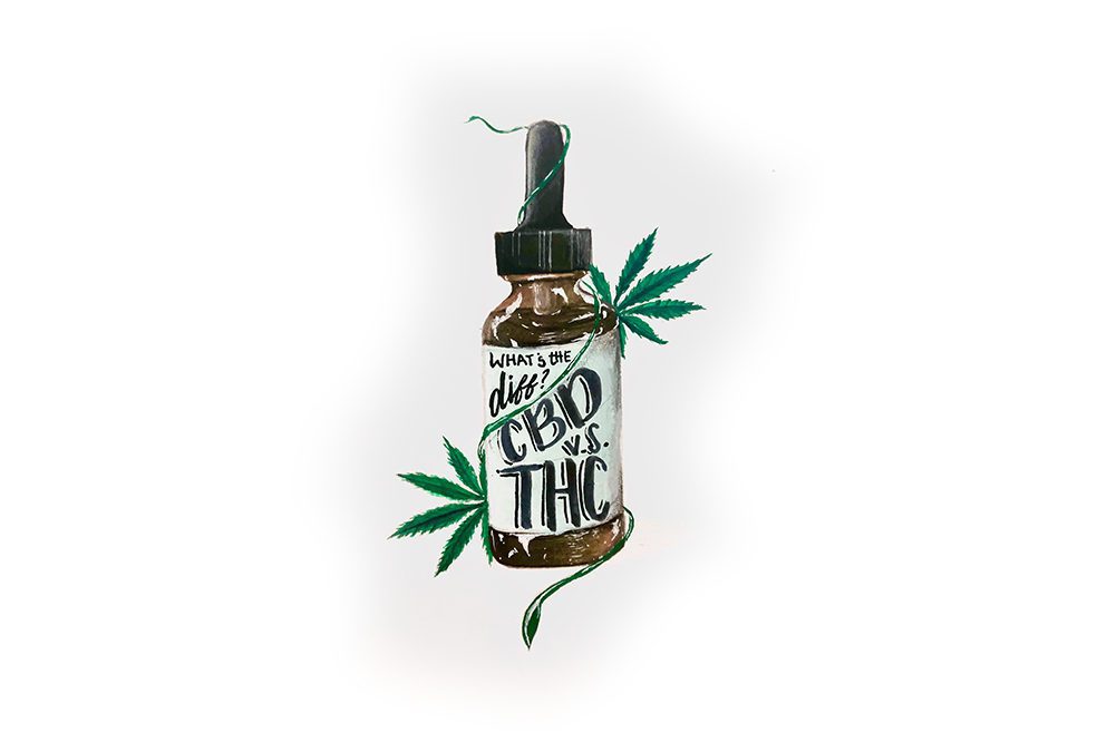 The Difference Between CBD and THC All You Need to Know and More