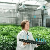  Front Range Biosciences is global researchers for hemp varieties. Front Range Biosciences is also collaborating with trials being conducted on Franny's Farm and with growers for our brand!