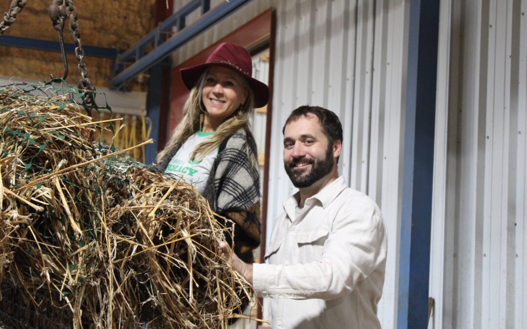 Month of Green: Honoring Earth Day, Sustainability and Hemp.