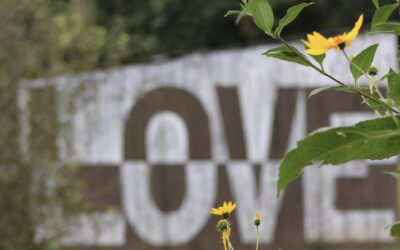 It All Starts on the Farm – “Farm Over Pharma”