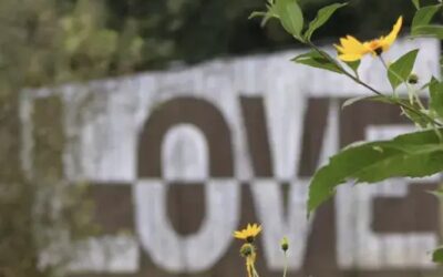 It All Starts on the Farm – “Farm Over Pharma”