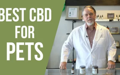 Best CBD for Pets
