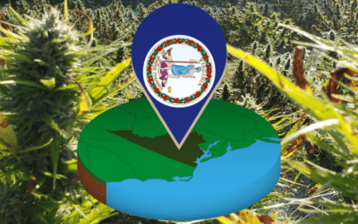 Act Now: Protect Your Full-Spectrum Hemp Experience in Virginia!