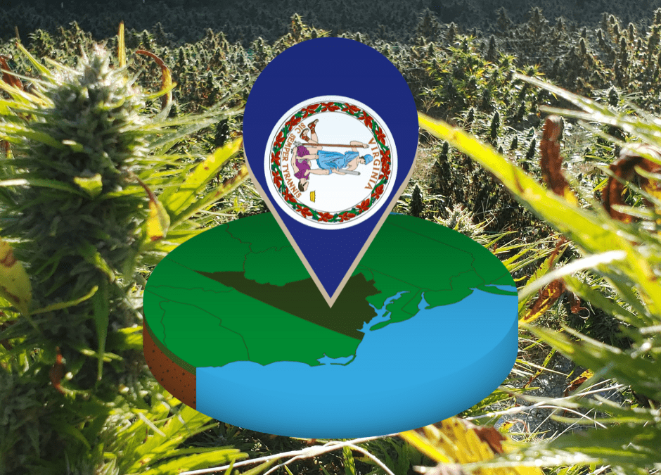 Act Now: Protect Your Full-Spectrum Hemp Experience in Virginia!