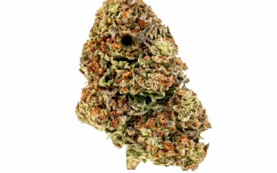 THCA Indoor Apple Fritter 3.5g (1/8) Jar Hemp Flower