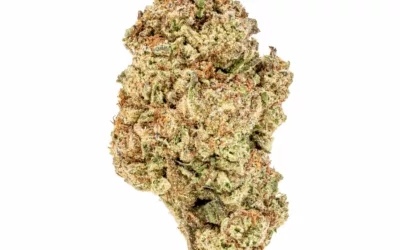 THCA Indoor Apple Tart 3.5g (1/8) Jar Hemp Flower