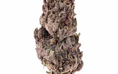 THCA Indoor Hawaiian 5.0 – 3.5g (1/8) Jar Hemp Flower