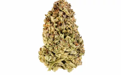 THCA Indoor Mochi Berry 3.5g (1/8) Jar Hemp Flower