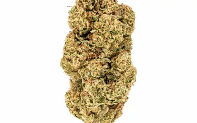 THCA Indoor Sunday Driver 3.5g (1/8) Jar Hemp Flower