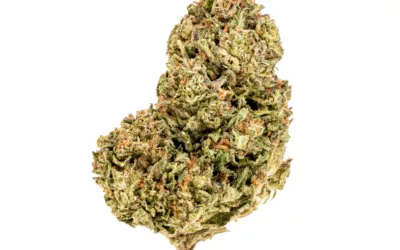 THCA Indoor Yoda’s Breath 3.5g (1/8) Jar Hemp Flower