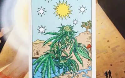 Unveiling the Potential of Cannabis-Derived CBD: Is It the Right Fit for You?