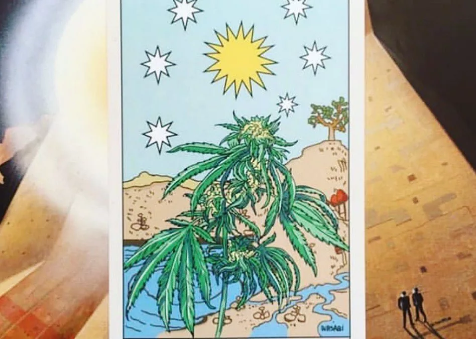 Unveiling the Potential of Cannabis-Derived CBD: Is It the Right Fit for You?