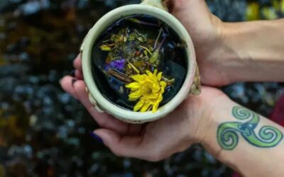 Inside the Botanical Division at Franny’s Farmacy: Where Plants Power Healing