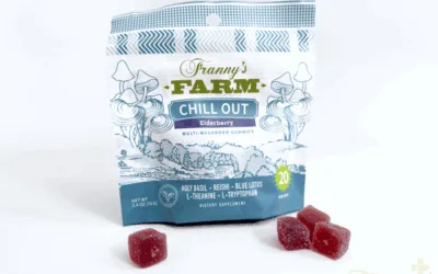 Franny’s Chill Out Elderberry Multi-Mushroom Gummies