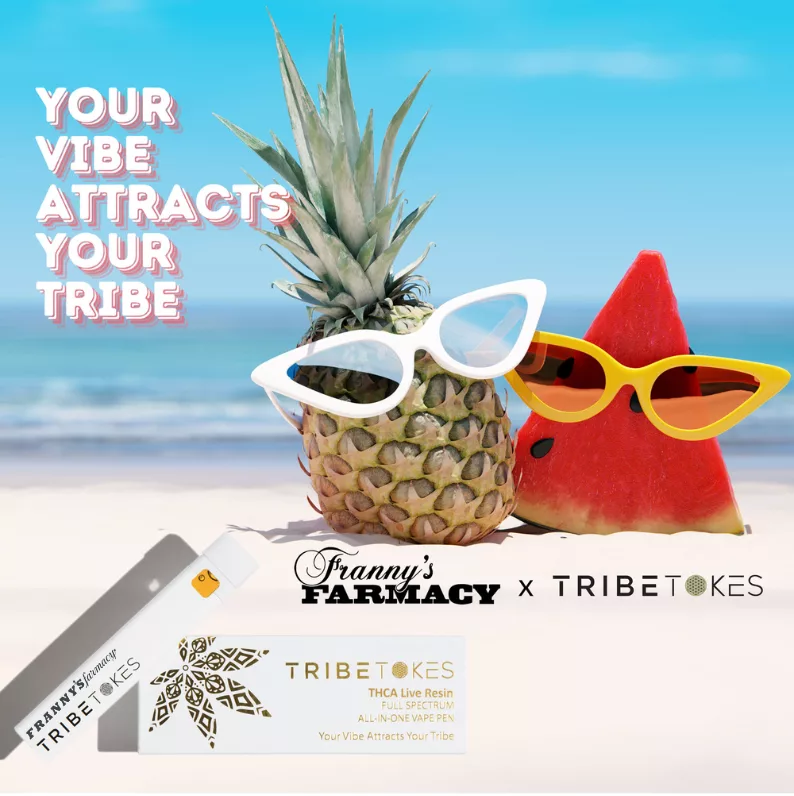 Frannys x tribe tokes collab