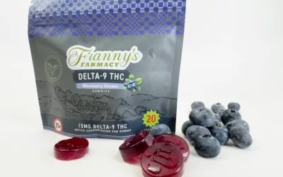 Blueberry Dream Delta-9 THC Gummies – Vegan + No Melt
