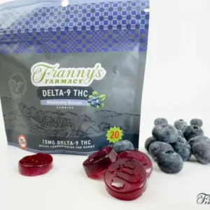 Blueberry Dream Delta-9 THC Gummies – Vegan + No Melt