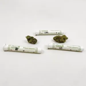 Frannys farmacy thca hemp pre roll