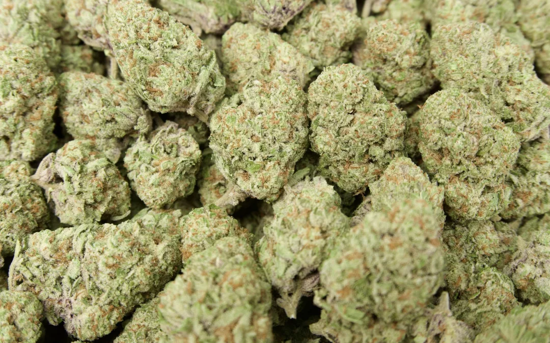 🚚 Now Shipping Nationwide: Shop Premium THCa Flower Online at Franny’s Farmacy