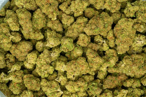 Green Crack THCa Flower