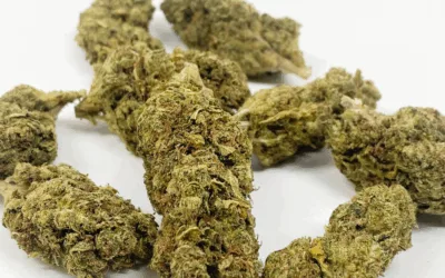 Franny’s Farmacy Gorilla Glue– High-THCA Hemp Flower (25.2% THCA)