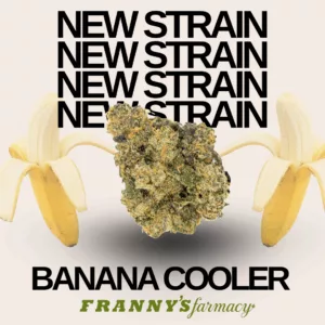 Banana Cooler thca