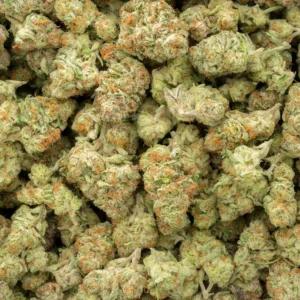 Purple Punch Indoor