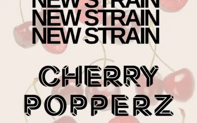 Cherry Popperz- Sativa, 27.10%