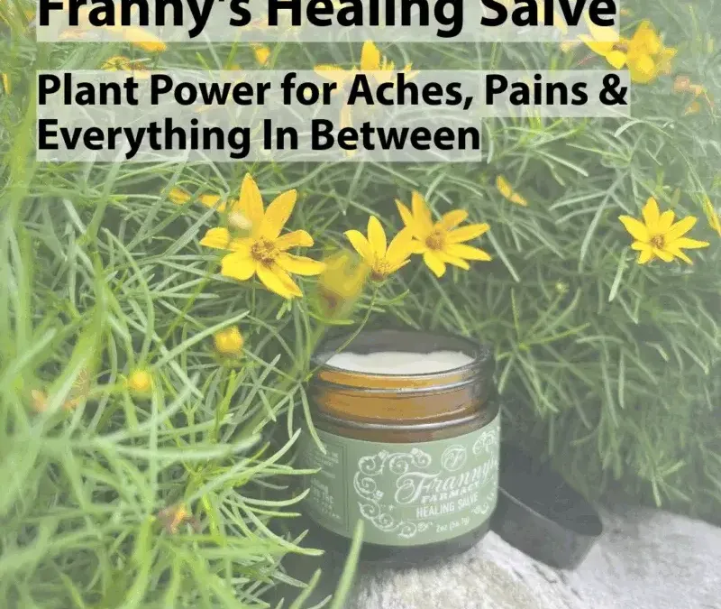 Healing Salve
