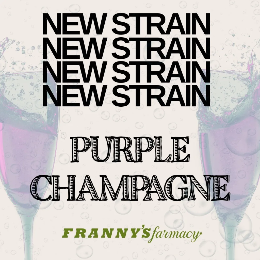PURPLE CHAMPAGNE SQUARE