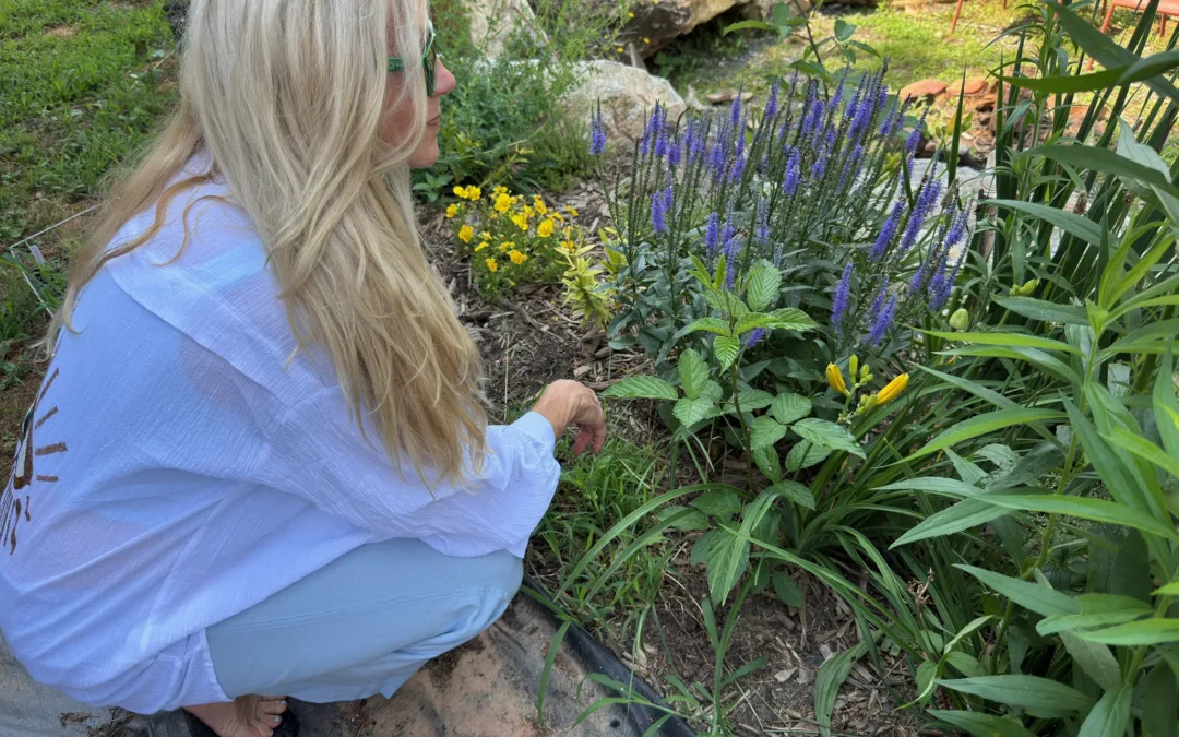 Honoring World Mental Health Day with Wellness from Franny’s Farmacy