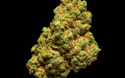 Super Lemon Haze THCa Flower (Indoor | Sativa | 27.86%)