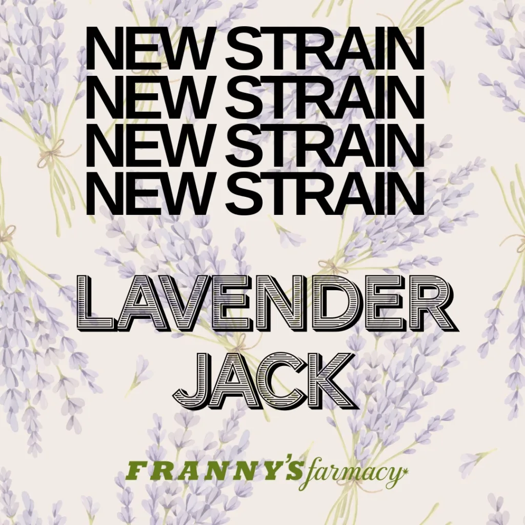 LAVENDER JACK